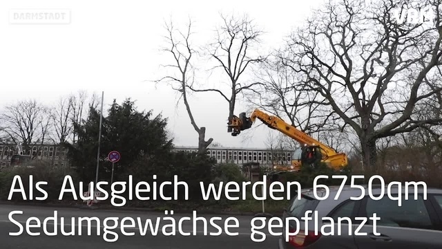 Bäume müssen Lichtwiesenbahnbau weichen