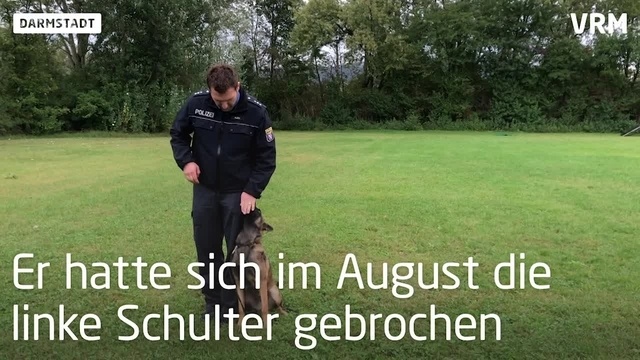 Vom Welpen zum Polizeihund
