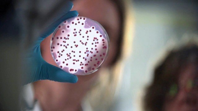 Die Antibiotika-Falle