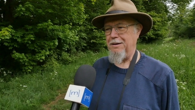Heimat erfahren - Orchideentour