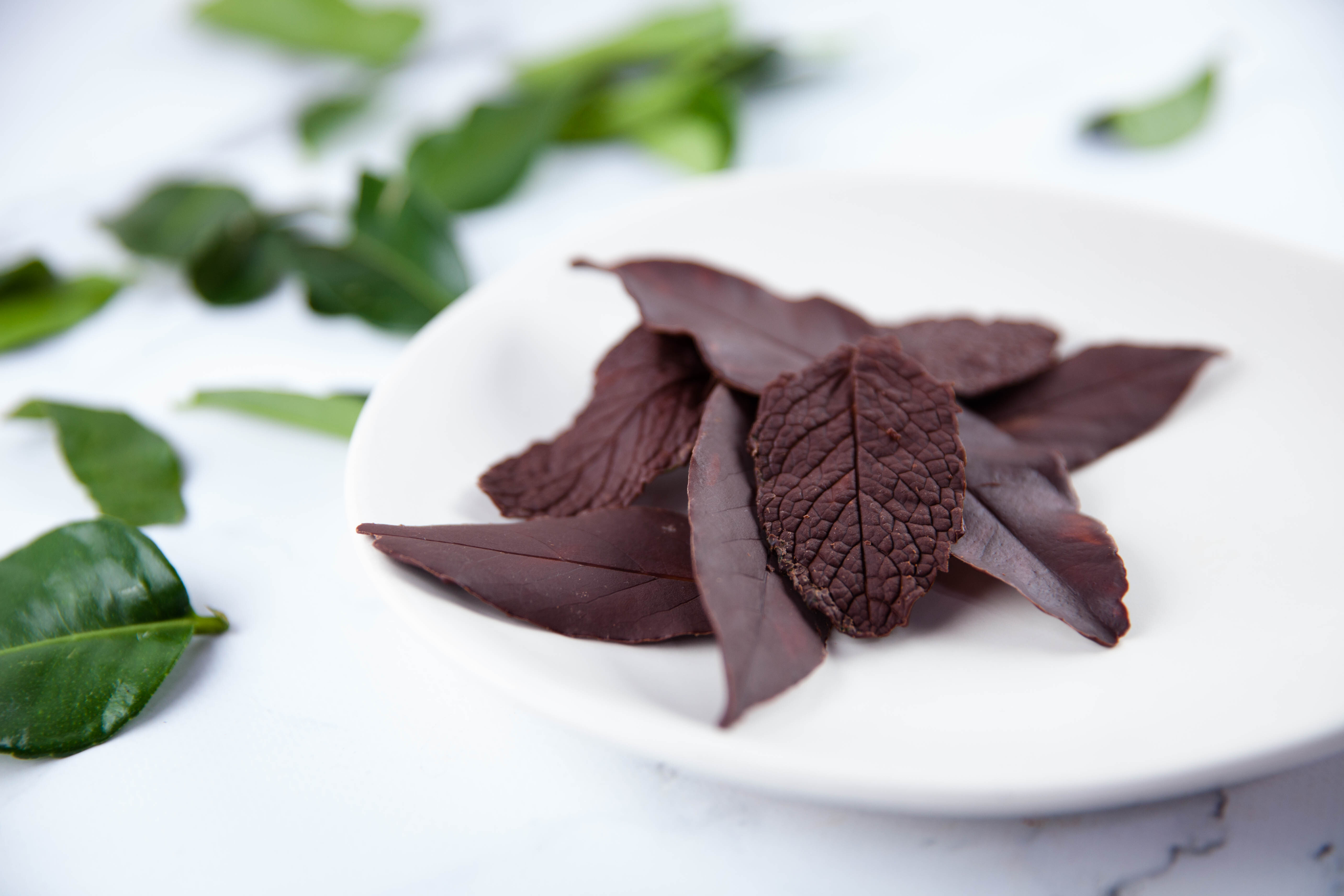 Schokoladen-Blätter | bongusto.de
