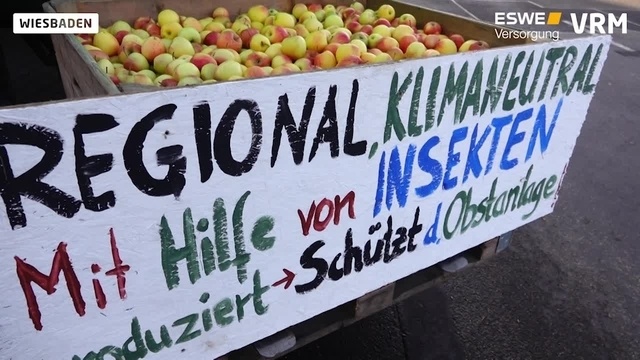 Landwirte demonstrieren mit Traktoren in Wiesbaden