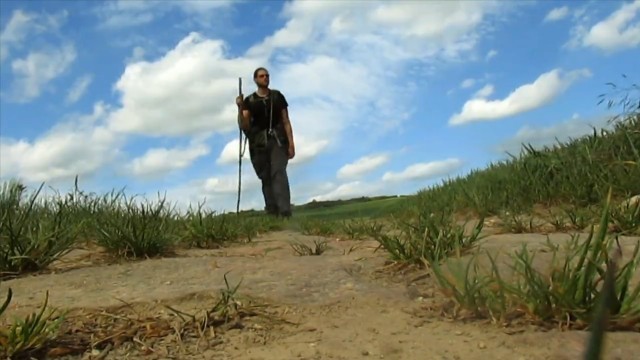 Der Waldwanderer