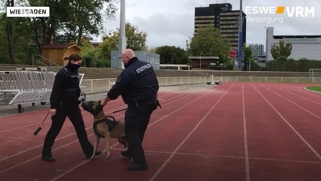 Wiesbaden: Unterwegs mit dem Polizeihund