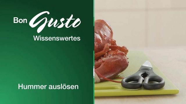Hummer auslösen
