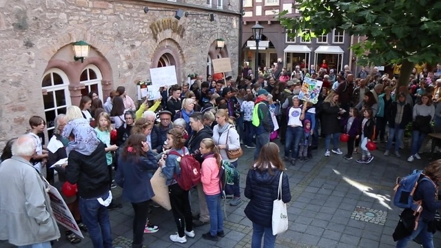 Fridays for Future-Demos in Alsfeld und Lauterbach