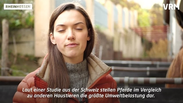Tipps für mehr Umweltbewusstsein mit Pferd
