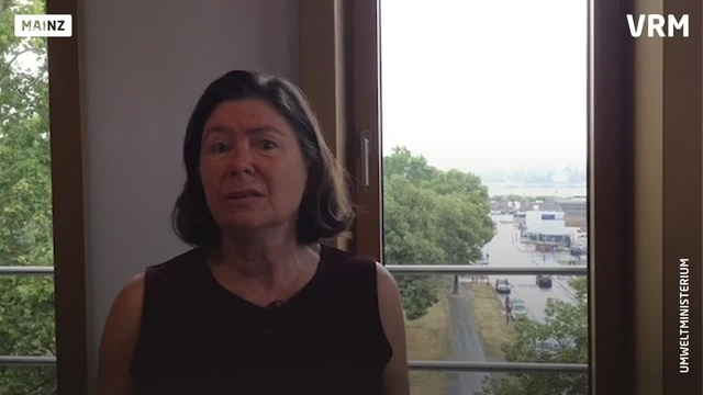 Höfken zu Rhine Cleanup