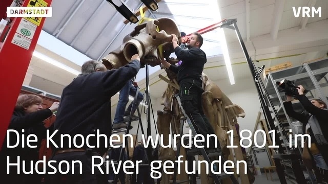 Mastodon in Darmstadt wird reisefertig