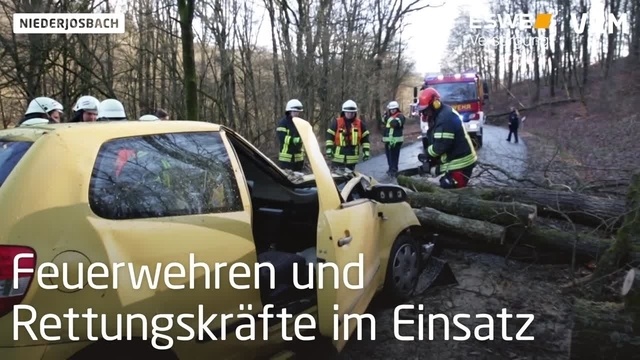 Nach Sturmtief stürzt Baum auf Auto