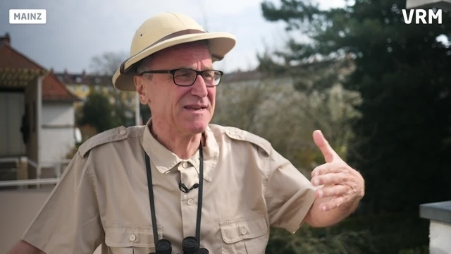 Bübs Bilanz - Safari vom Balkon