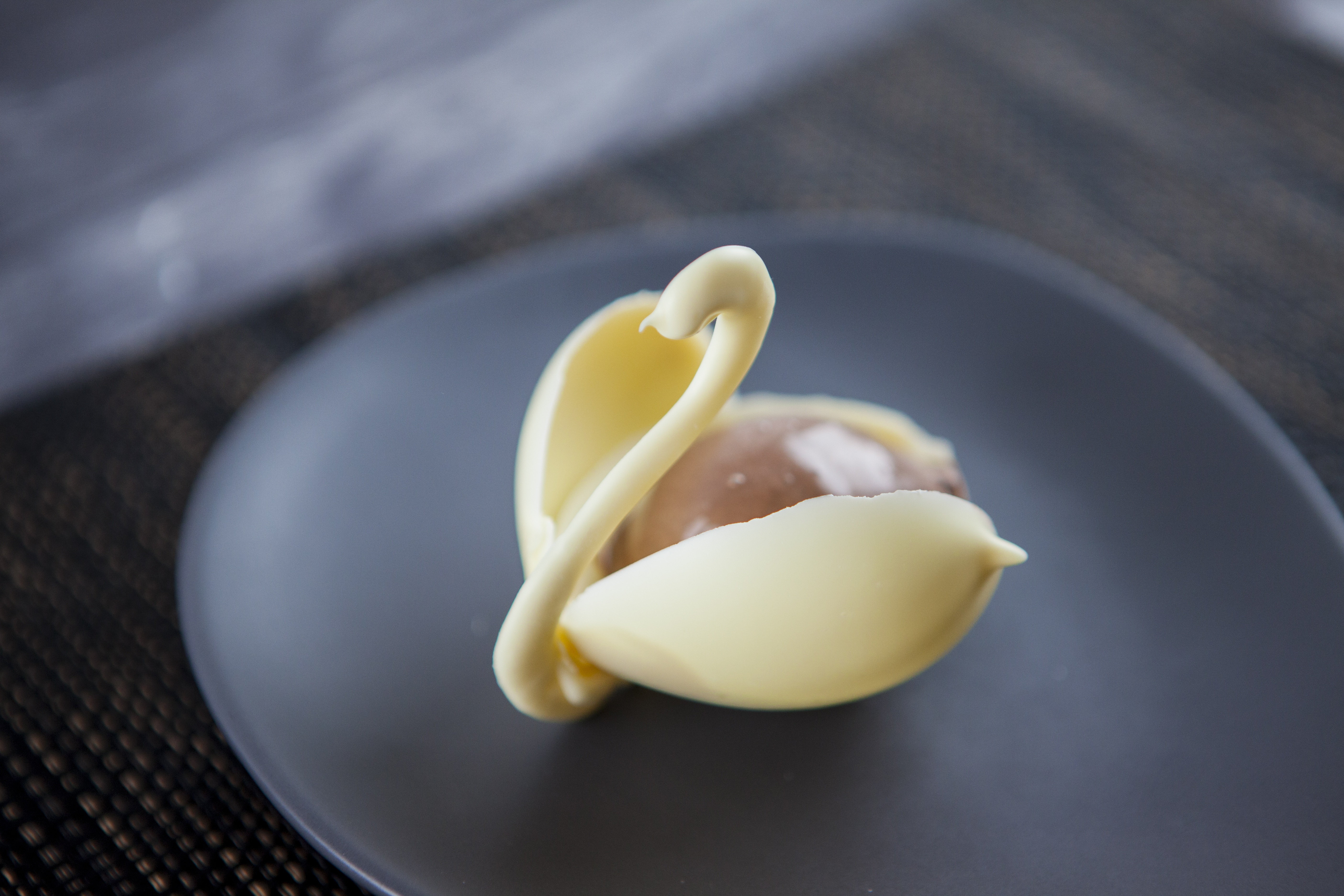Schokoladen-Schwan