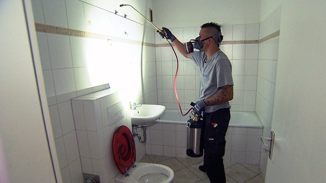 Die Rattenfänger von Hamburg