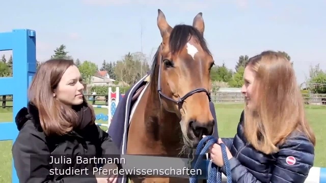 Wie Führungskräfte von Pferden lernen können
