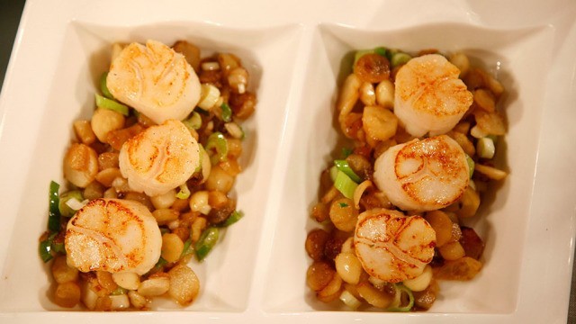 Gebratene Jakobsmuscheln auf Schwarzwurzel-Macadamianuss-Ragout