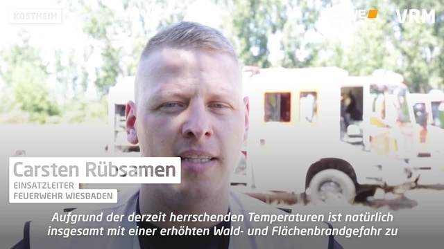 Erneuter Brand am Rheinufer in Kostheim