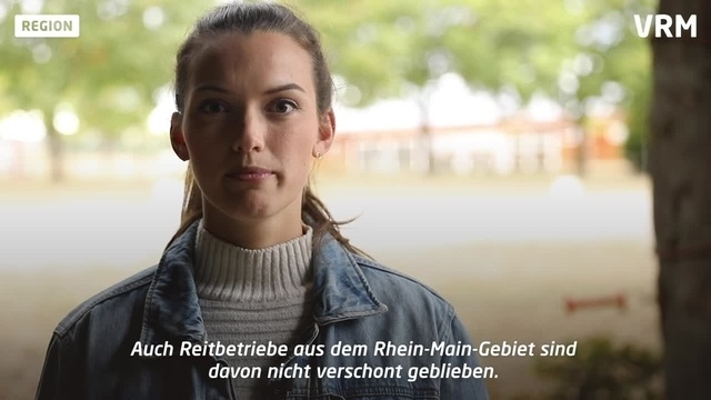Reitbetriebe zu Corona-Zeiten