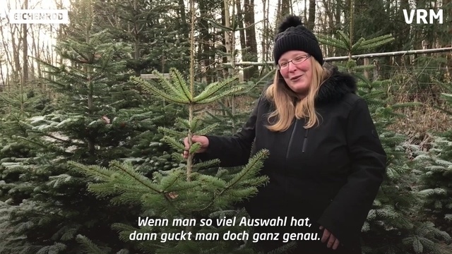 Weihnachtsbaumschlagen beim LA