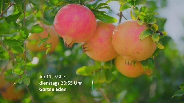 Garten Eden