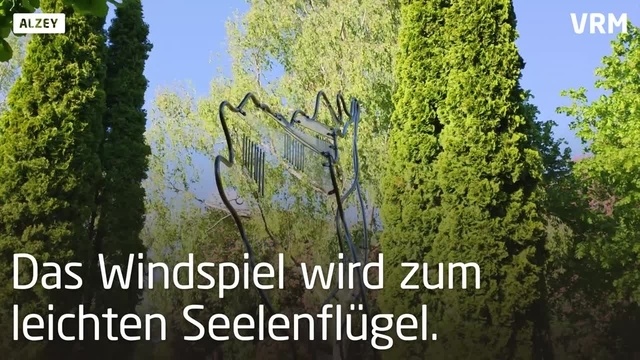Die Sternenwiese in Alzey