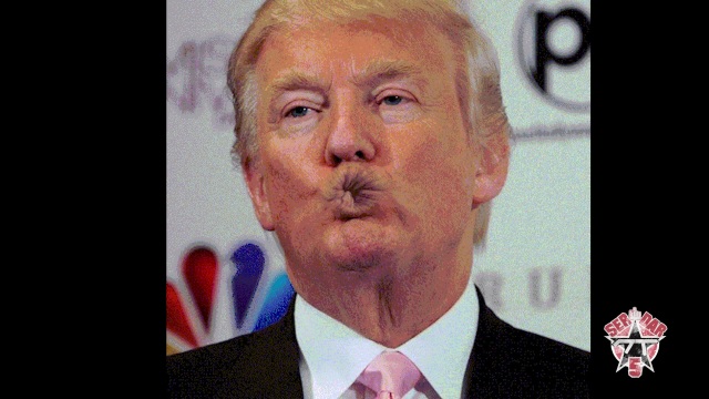 BÄM! Rösterei: Trumps Mauer