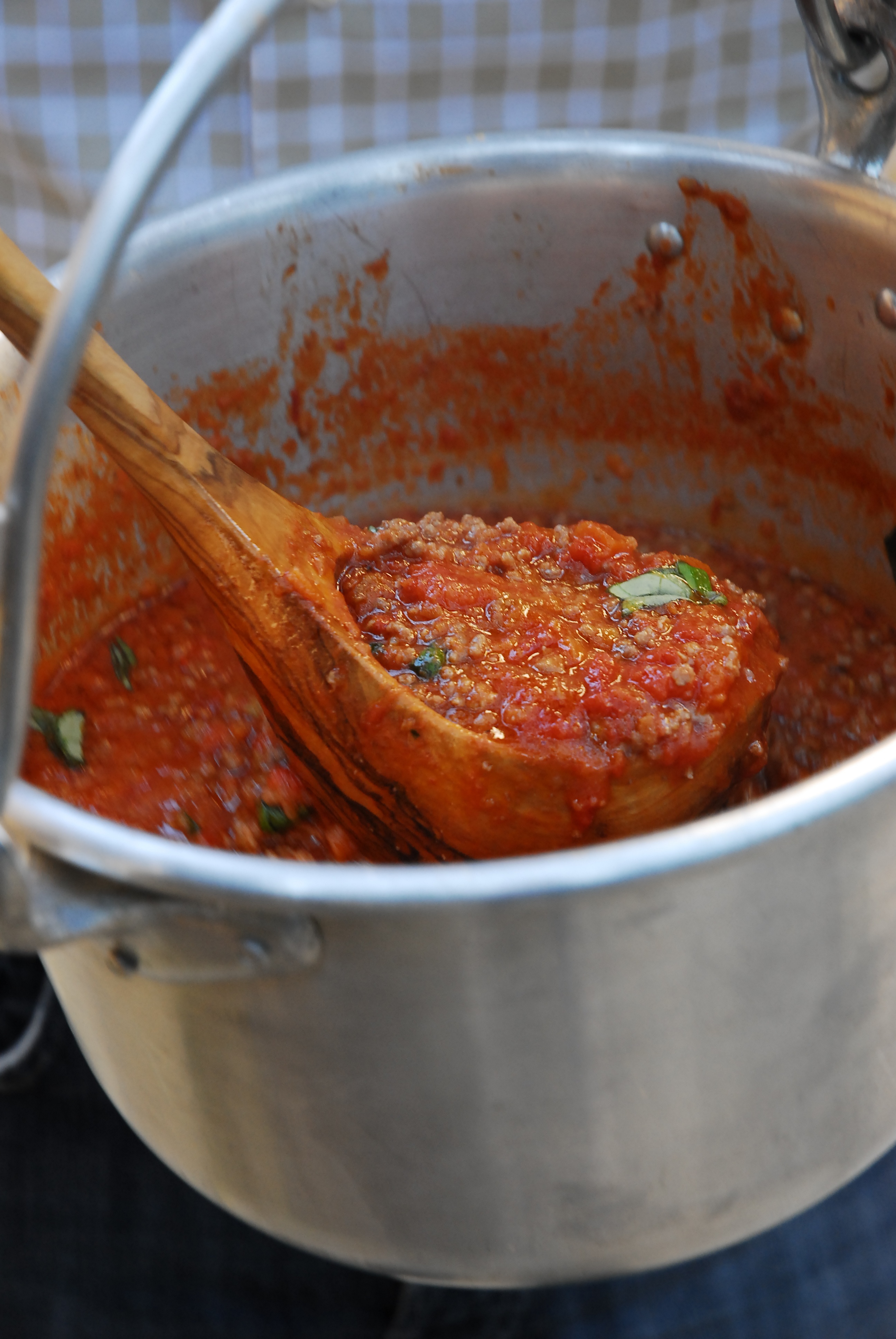Hammel-Bolognese