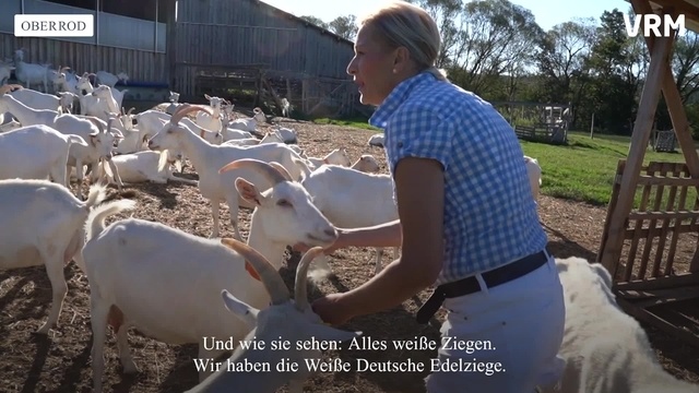 Oberrod: Blick hinter die Kulissen der Fromagerie