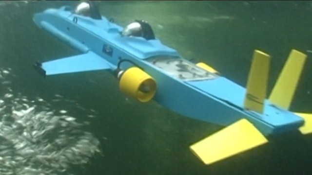Unterwasserflieger im Miniatur-Format
