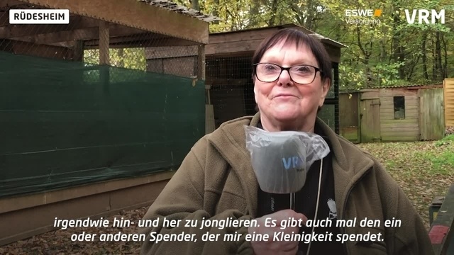 Greifvögel ganz nah in der Adlerwarte am Niederwald