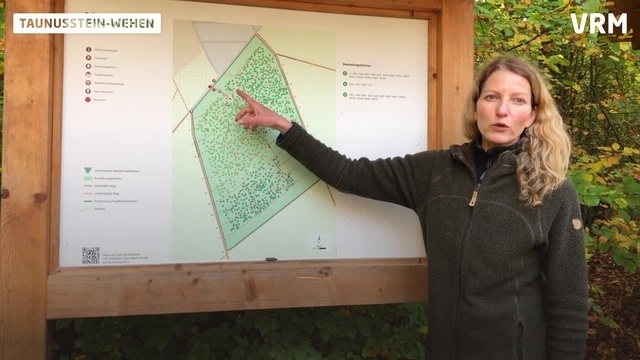 Taunusstein: Friedwald in Wehen vergrößert