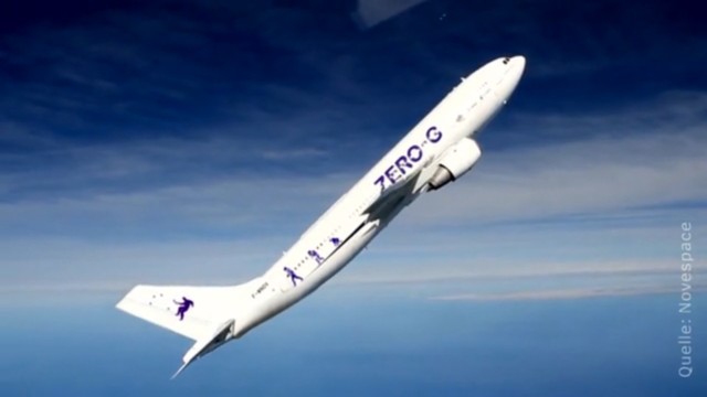 Mit dem Airbus in die Schwerelosigkeit