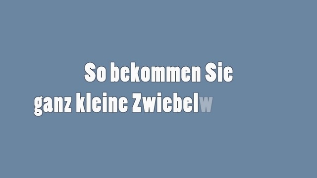 So bekommen Sie ganz kleine Zwiebelwürfel hin