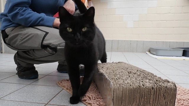 Maxi sucht neue Familie