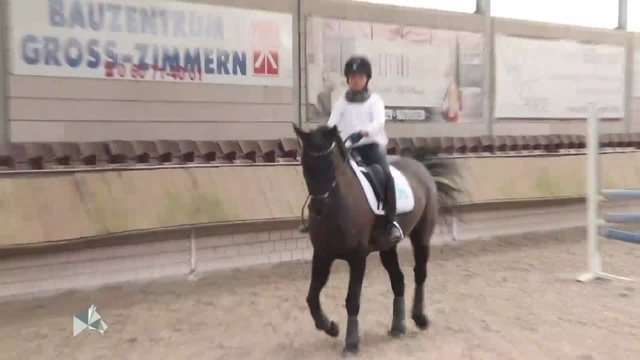 Equine Stories: Reitstunde mit Nachwuchs-Dressurreiterin Joan Weske