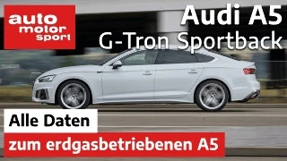 Audi A5 G-Tron: technische Daten im Video