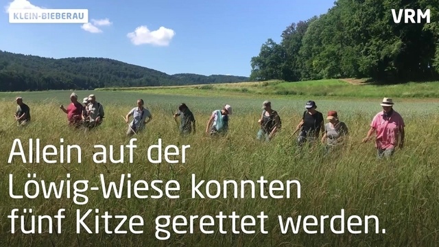 Rettungseinsatz für Rehkitze in Klein-Bieberau