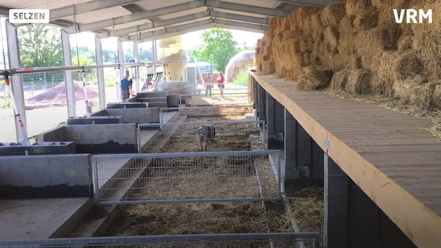 Schweineparadies Selztalhof