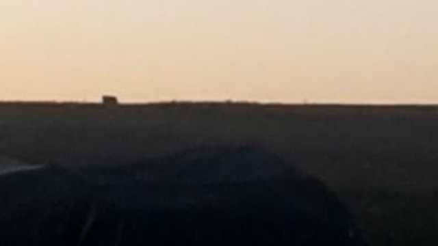 Wolfsichtung in Schöffengrund