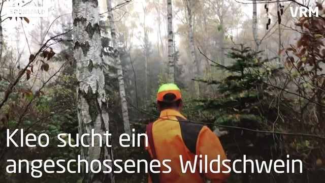 Soonwald: Nach der Jagd beginnt für Kleo die Arbeit