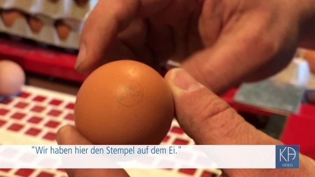 Frische Eier und Hähnchen aus Borsdorf