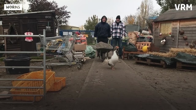 Hilfe für den Gnadenhof