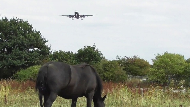 Bonus-Show aus Heathrow