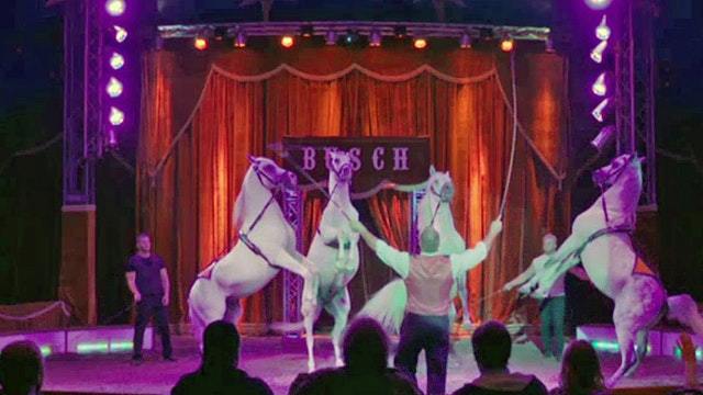 Zirkus ohne Zukunft?