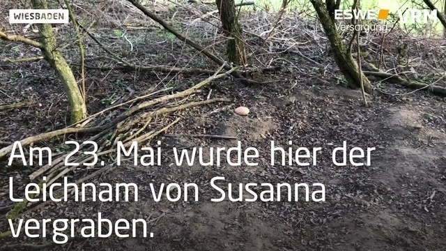 Der Fall Susanna