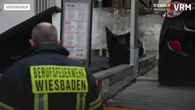 Wiesbadener Feuerwehr rettet Waschbär