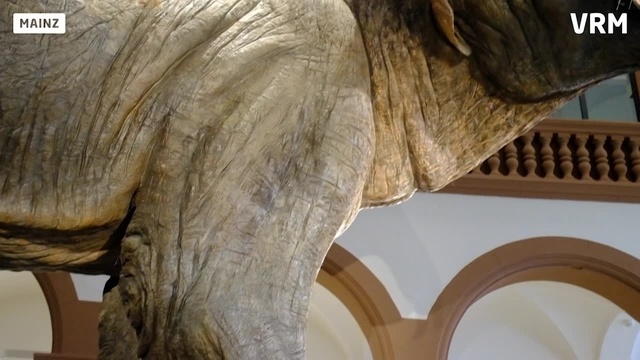 Naturhistorisches Museum in neuem Glanz
