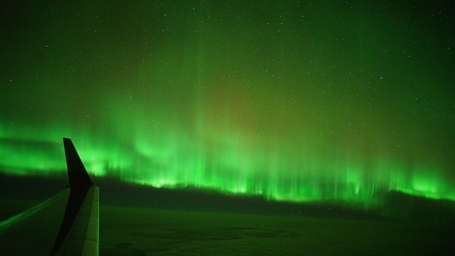 Auroraflug zu gewinnen