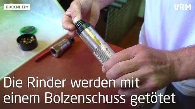 Bodenheim: Auf dem Hofgut Acker wird selbst geschlachtet