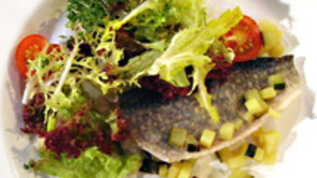 Pochierter Saibling an sommerlichen Salaten und Kartoffel-Gurkenvinairette
