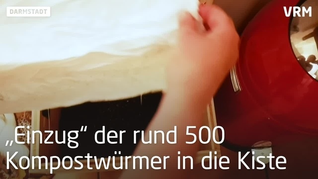Wurmkiste: Kompostieren in der Küche